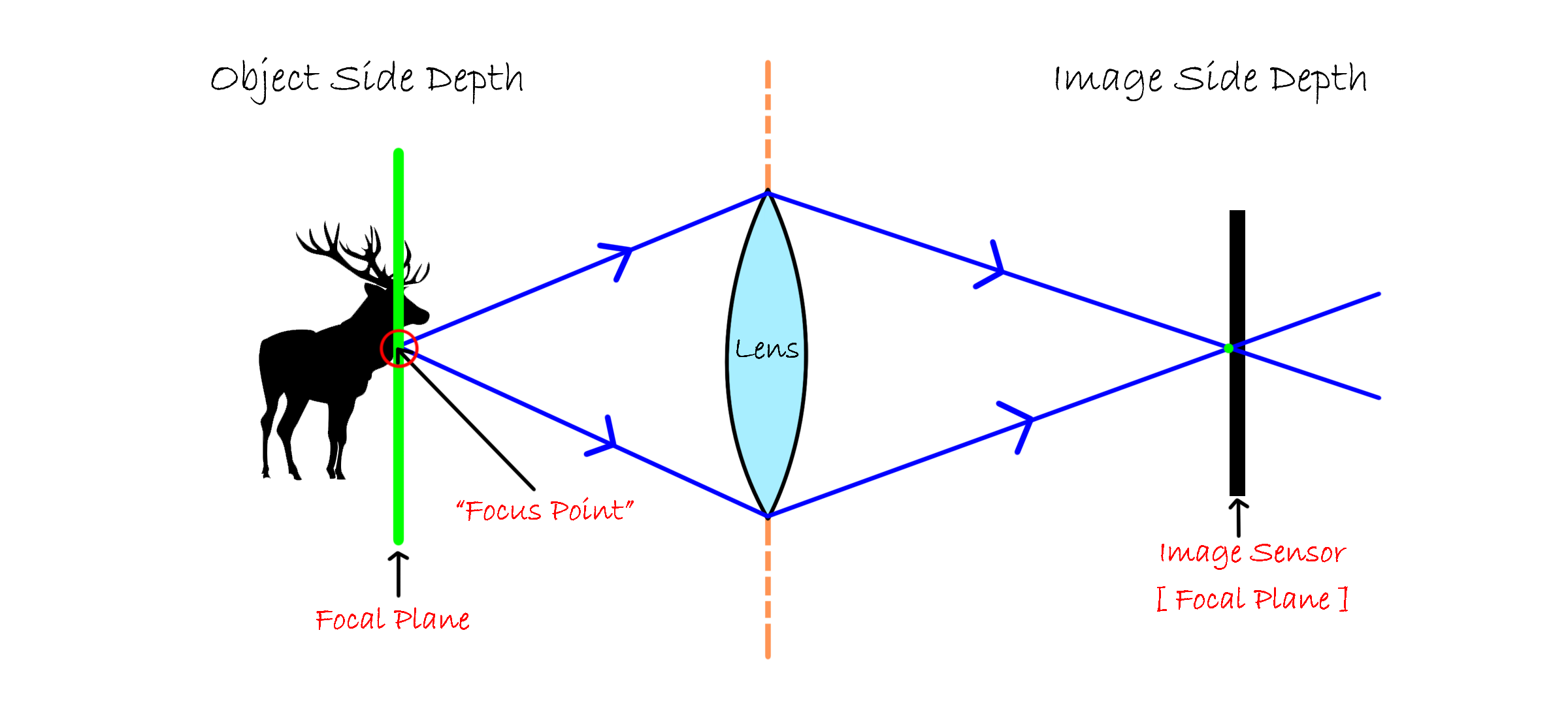 focal-length-explained-a-beginner-s-guide-camera-harmony